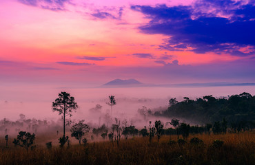 Sunrise at Thung Salaeng Luang national park of Thailand, mountain view with sea of fog and forest.