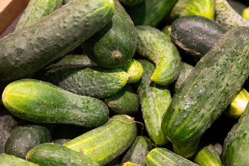Close-up of fresh green cucumbers in grocery store