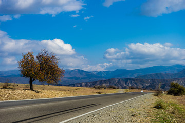 Fototapeta na wymiar Autumnal road landscape