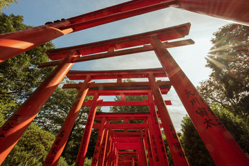 The Nezu Jinja in Tokyo, Japan