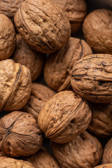 Walnuts under a beautiful light