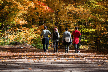 Group talking through autumn trail