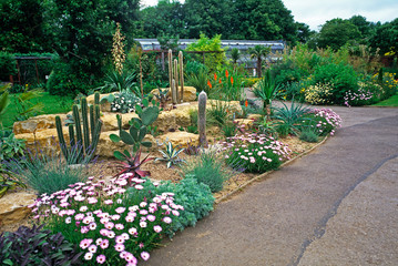 A dry Cactus garden at a cotswold garden and wildlife park