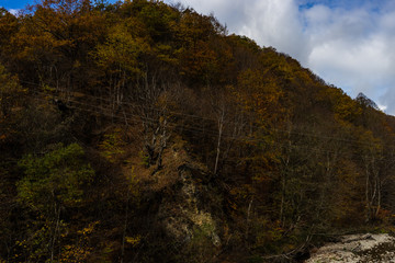 Autumnal travel landscape