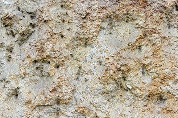 Texture of erose and perforated stone wall