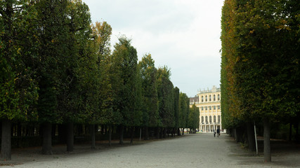 Big trees in the garden of Belvedere building complex in Vienna, Austria