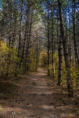 Autumnal travel landscape