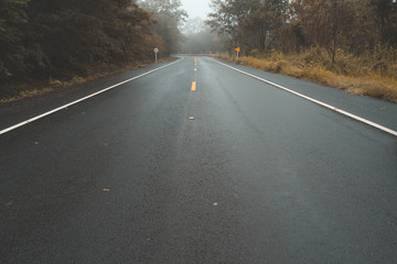 Naklejka premium Deserted Straight Mountain Road on a Rainy Autumn Day. Some Fallen Leaves are on the Wet Asphalt. Beautiful Fall Colors. Adirondacks, Upstate New York