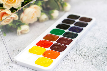 Close-up multi-colored watercolor palette