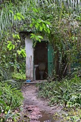 Fototapeta na wymiar Toilette in einem regenwald