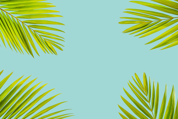 Natural palm leaf on pastel blue background, nature background