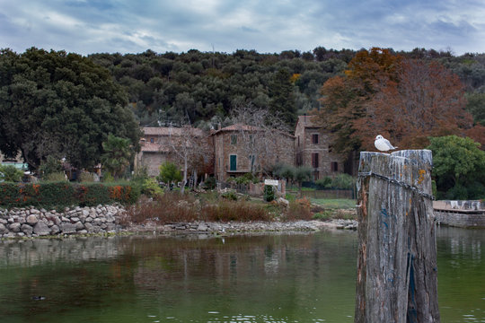 Lake shore of  island on lake Tuoro Sul Trasimeno in Italy seagull seating on pier pillar calm waters