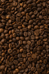 Small coffee beans texture background