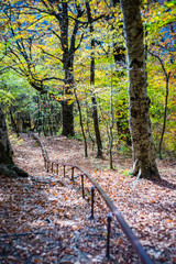 Autumnal travel landscape