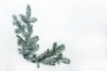 Christmas composition. The pattern is made of spruce branches on a white background. Christmas, winter, New year.