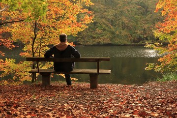man sitting alone on a park bench in colorful fall scenery