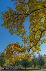 Lyon, France - 10 26 2019: Park head gold