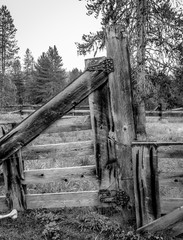Old Fence Post