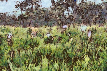 Mountain forest landscape Illustrations creates an impressionist style of painting.