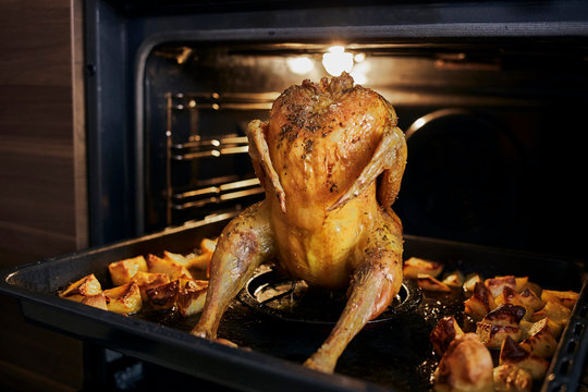 chicken in a roasting pan in oven