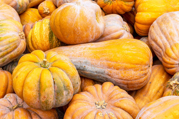 Winter squashes natural background, pile of harvested pumpkins for sale in a Bulgarian village