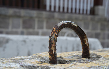 Fototapeta premium rusty iron ring on concrete floor