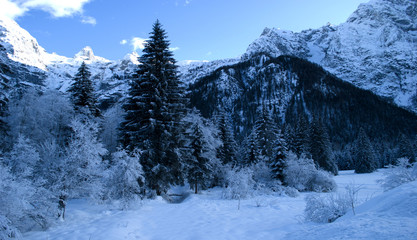 Obraz premium winter in mountains