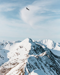As high as the birds
