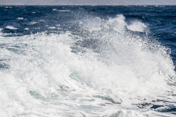 Waves with foaming spray crown on the sea