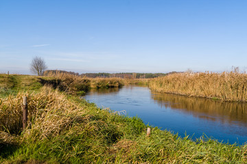 Fototapeta na wymiar Dolina rzeki Supraśl, jesienny dzień nad rzeką Supraśl, Podlasie, Polska