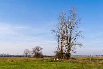Dolina rzeki Supraśl, jesienny dzień nad rzeką Supraśl, Podlasie, Polska