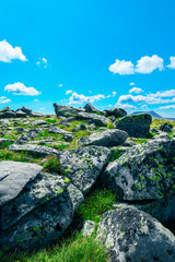 Big old mossy rocks on the hiking road at the alpine mountains, summertime, blue sky.