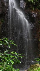 waterfall in the forest