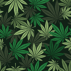 seamless pattern of marijuana leaf. - obrazy, fototapety, plakaty