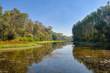 Special Nature Reserve Koviljsko Petrovaradinski Rit (Kovilj – Petrovaradin marshes), a complex of marshes and forest ecosystems on the Danube river in Backa region of Vojvodina, northern Serbia