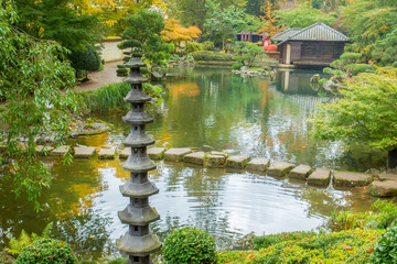  Fantastic autumn in Japanese garden in Kaiserslautern.  Scenic Pond with orange colors , colorful...
