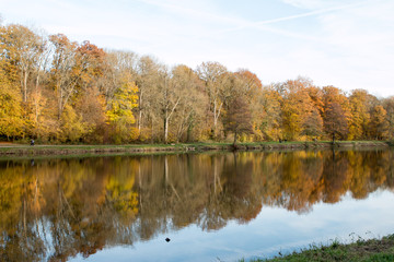 Fototapeta na wymiar Reflets de Forêt en automne