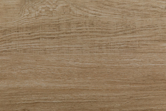 Wood texture background surface of soft warm brown colour with natural pattern