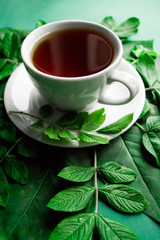 White cup of tea with green sprig and leafs on green background
