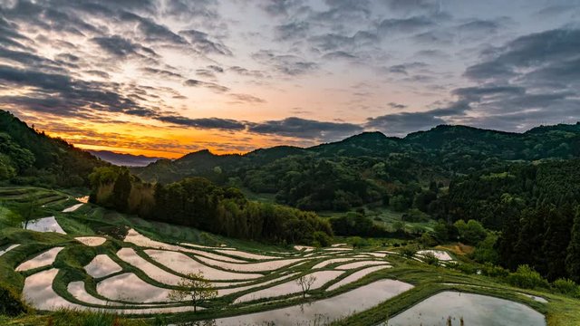 Timelapse Tracking Shot of Sunrise over Reflective Rice Terrace in Japan 