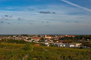 Landscape view on South Moravian town Valtice, Czech Republic. Looking through extensive vineyards.