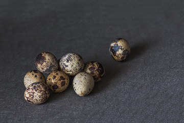 Beautiful spotted quail eggs on black and grey background. Easter holiday.