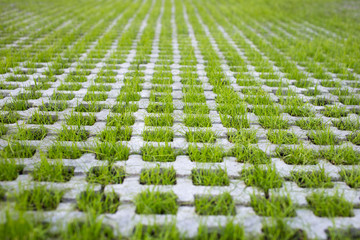 Grey Concrete Tile With Cells Of Eco Parking