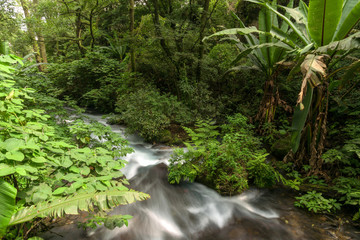 R&iacute;o en parque Uruapan
