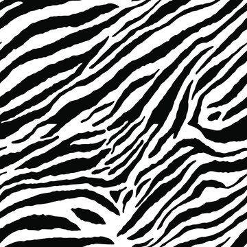 Full seamless wallpaper for zebra and tiger stripes animal skin pattern. Black and white design for textile fabric printing. Fashionable and home design fit.