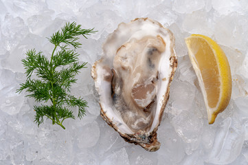 Fresh oysters platter with sauce and lemon