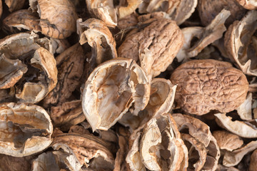 Broken walnut shells. Pieces of nutshells. Nutshell texture.