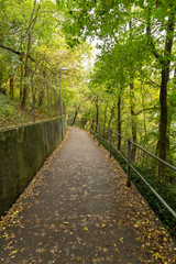 Obraz premium Schaffhausen im Herbst Schweiz