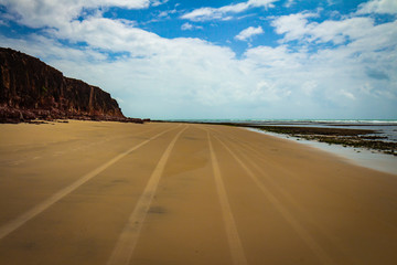 Beautiful lonely beach in northern Brazil. Calm coastal landscape