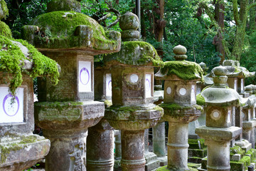 Stone lanterns at Kasuga-taisha Shrine, Nara, Honshu, Japan
